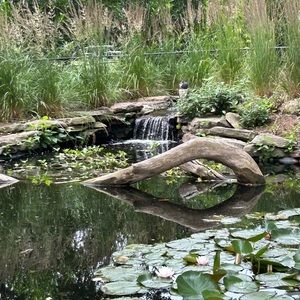 Meet your Posher, Ellie